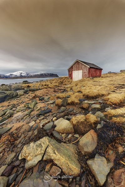 old red hut in lofoten, norway