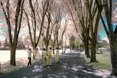 infrared shot of the wedding photo session in botanical park in bursa