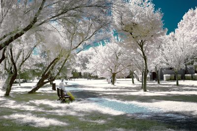 infrared shot of the botanical park in bursa