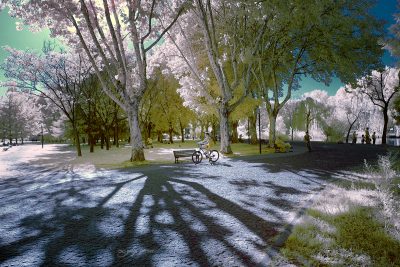 infrared shot of the bicycle in botanical park in bursa